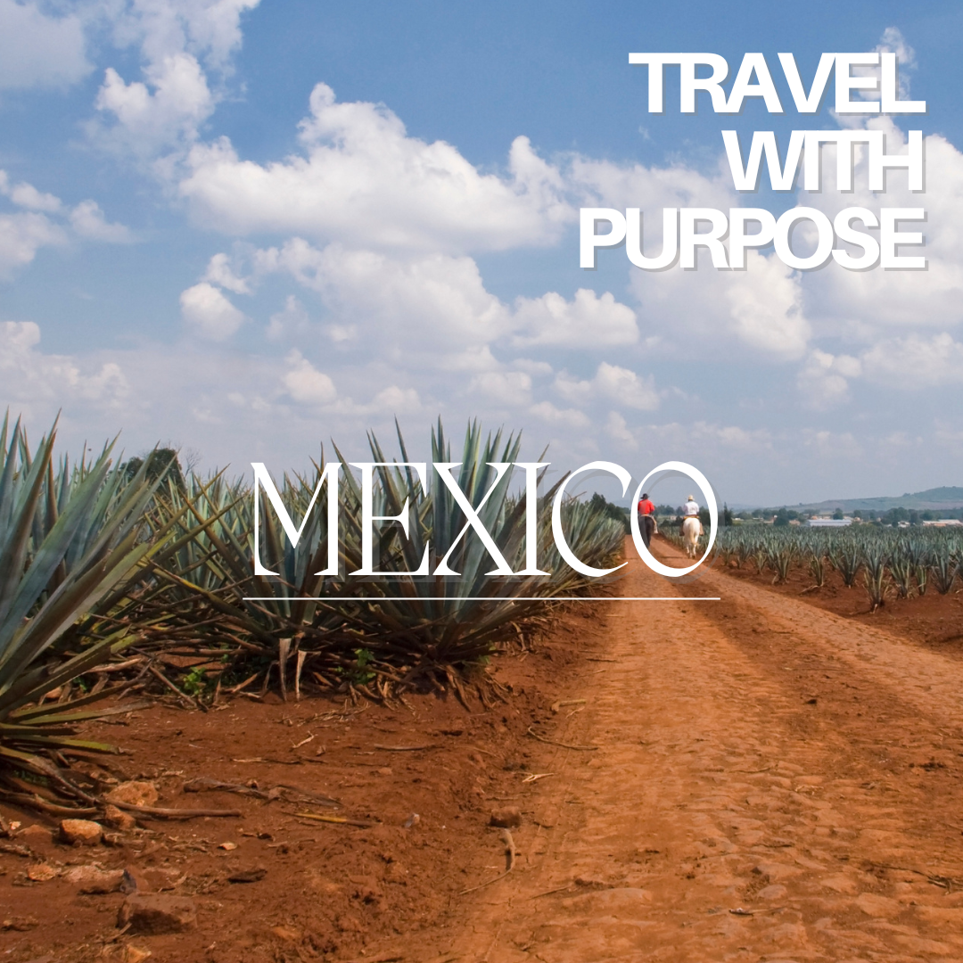A Guide to Responsible Travel in MEXICO