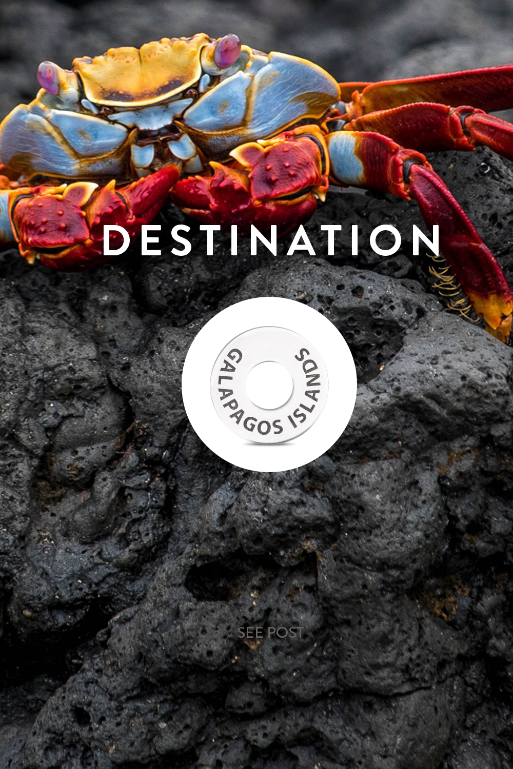 Destination: GALAPAGOS ISLANDS