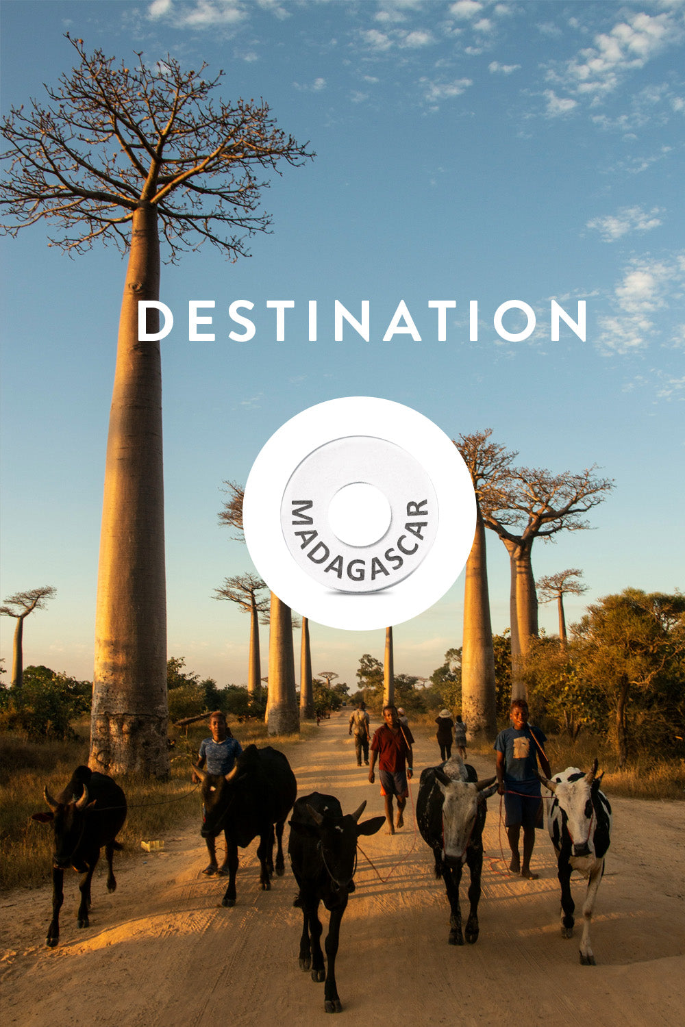 Destination: MADAGASCAR