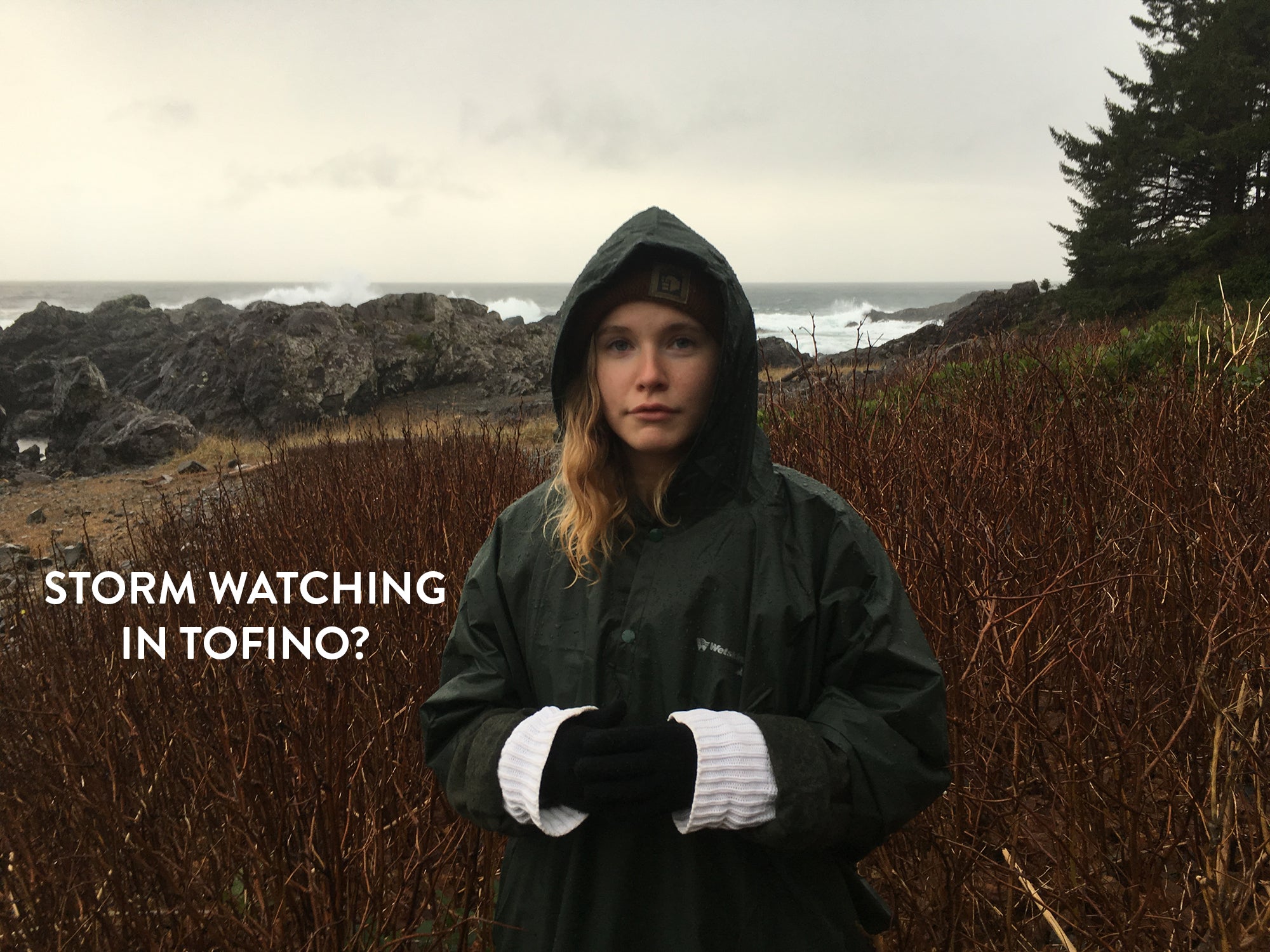 Storm Watching in Tofino?