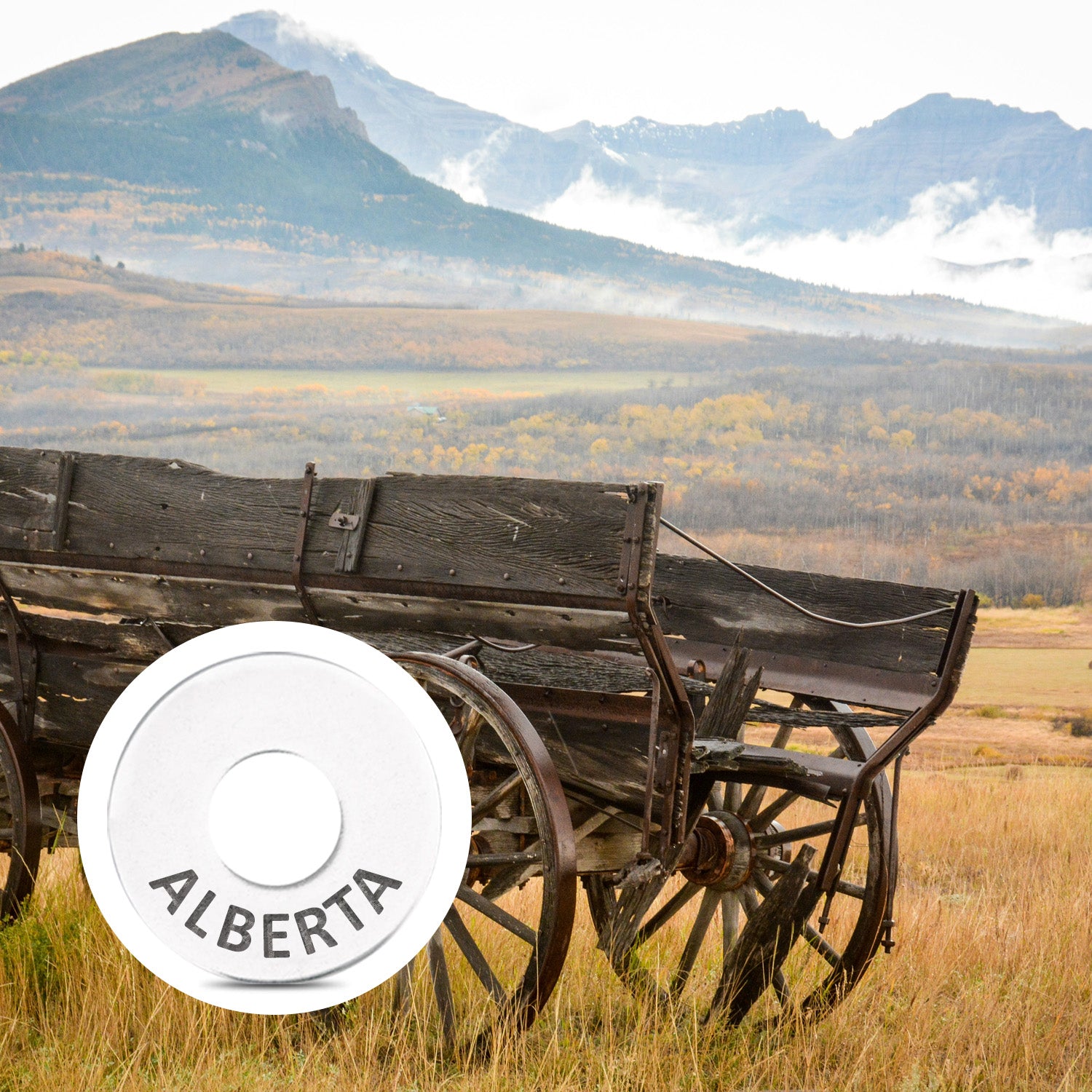 ALBERTA Ring