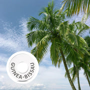 GUINEA BISSAU Ring