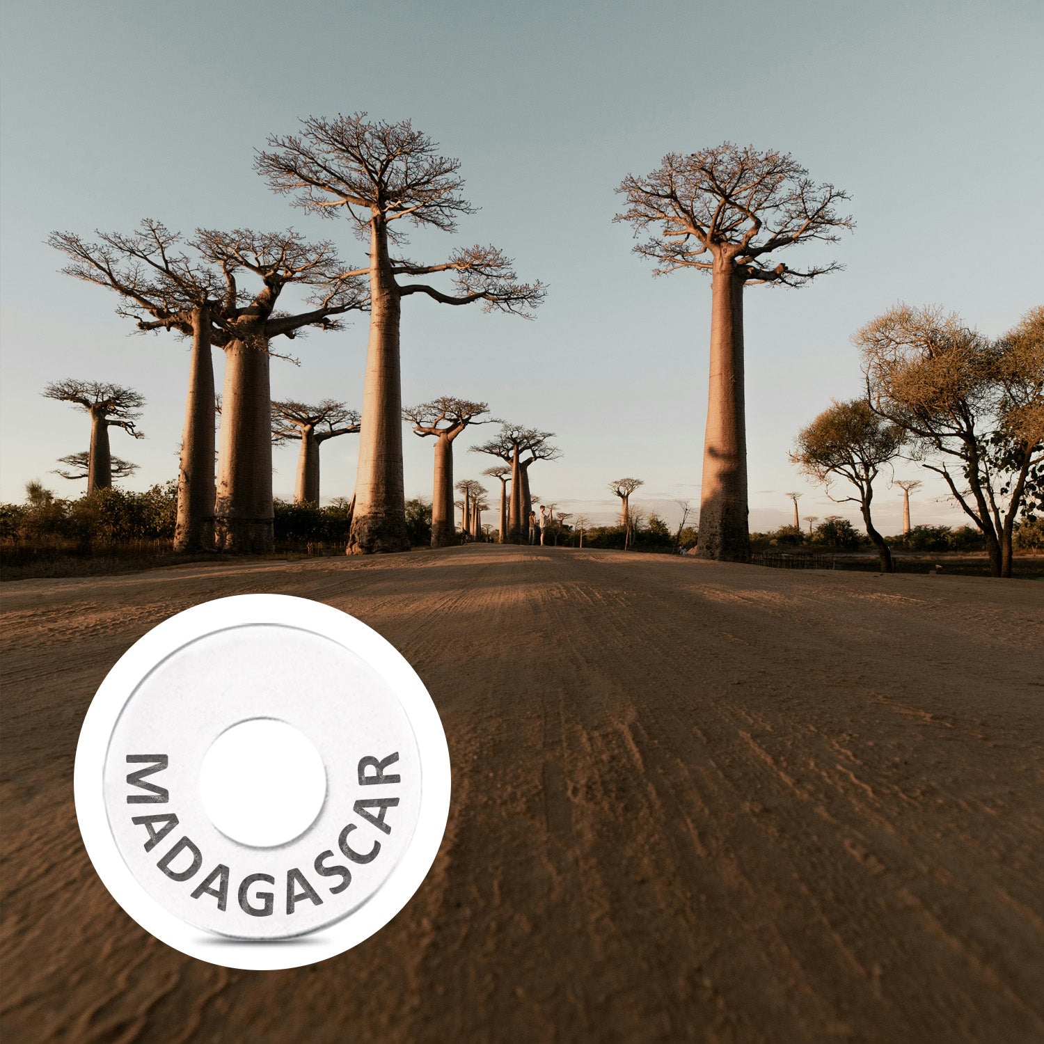 MADAGASCAR Ring