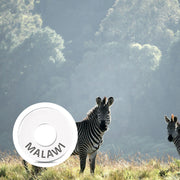 MALAWI Ring