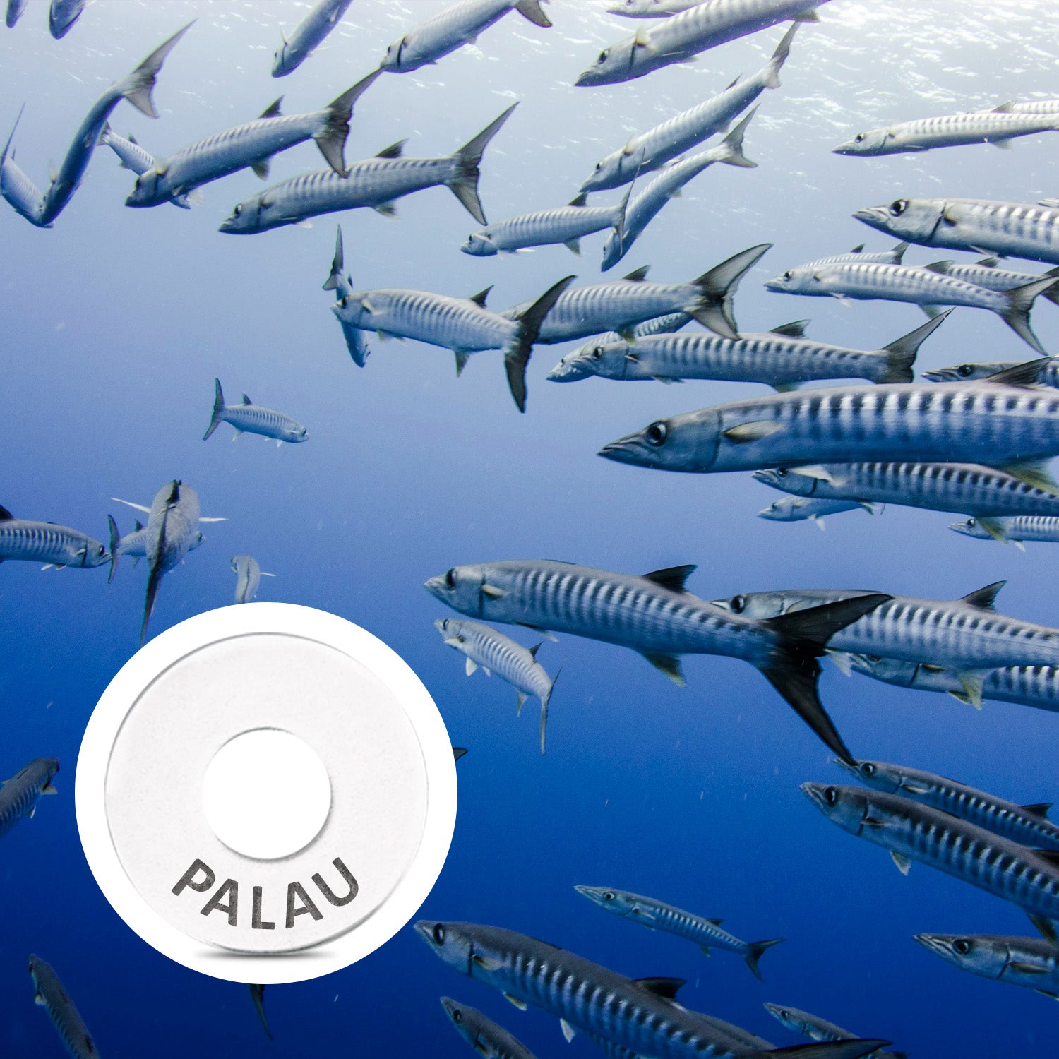 PALAU Ring