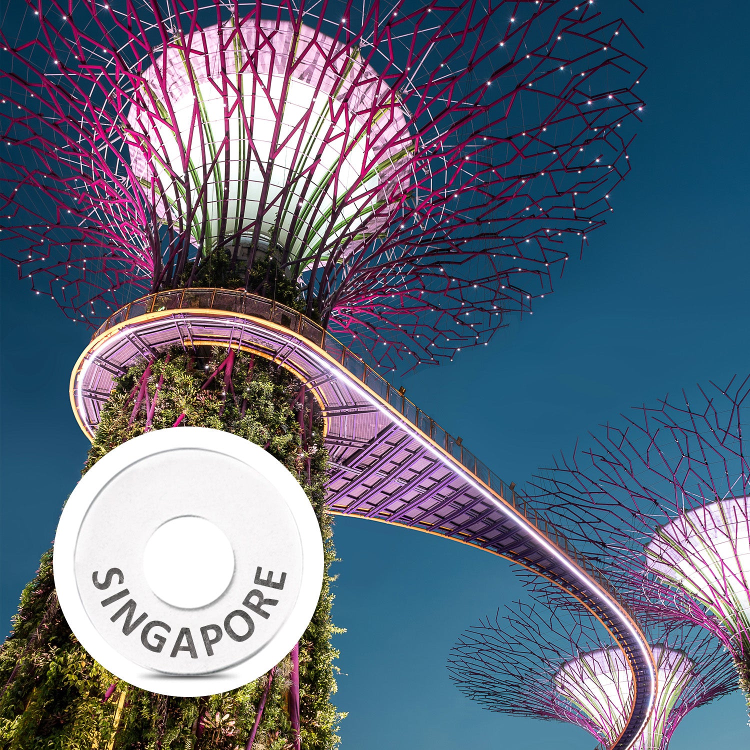 SINGAPORE Ring