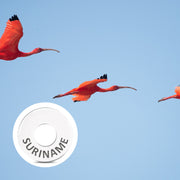 SURINAME Ring